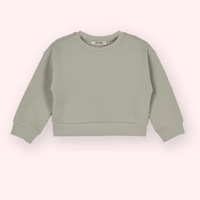Crew Neck Sweatshirt 2511GB08017