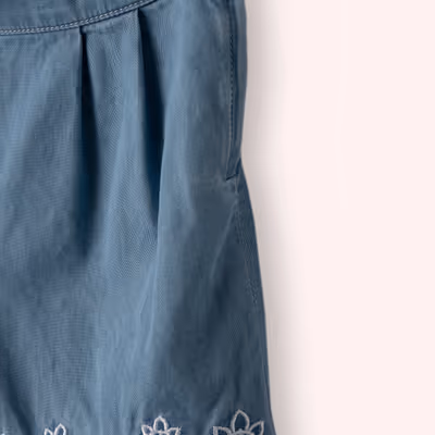 Embroidered Detailed Shorts-Blue-2-3 Yrs