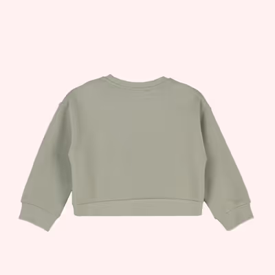 Crew Neck Sweatshirt-Khaki-1.5-2 Yrs